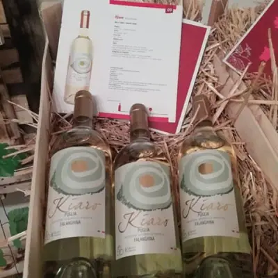 Ле Море България ООД