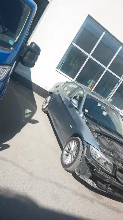 Авис