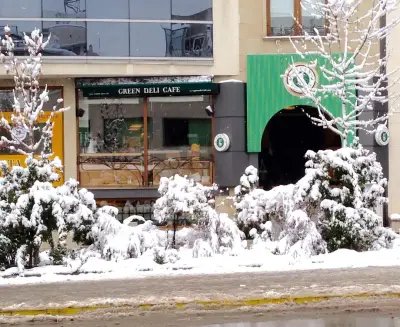 Green Deli Cafe