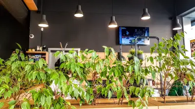 Green Deli Cafe