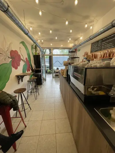 Bug Coffee