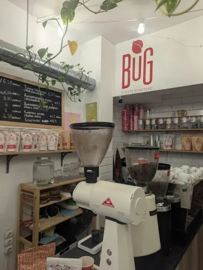 Bug Coffee