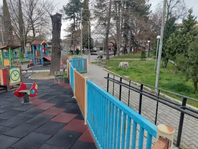 Кочо Мавродиев