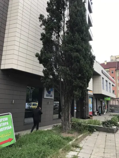 Интернешънъл Асет Банк