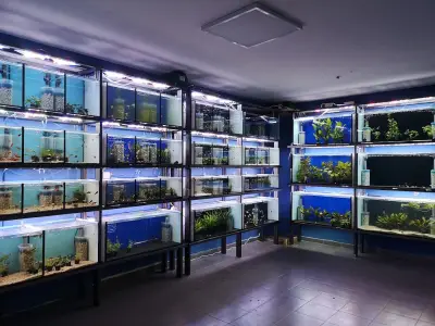 TERARISTIKA.BG | AQUARIST.BG