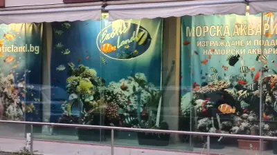 Exotic Land ltd