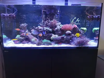 Exotic Land ltd
