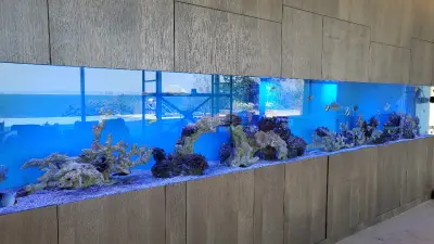 Exotic Land ltd