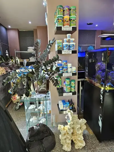 Exotic Land ltd