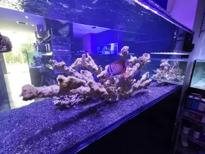 Exotic Land ltd