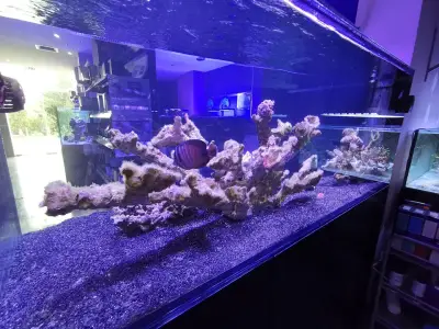 Exotic Land ltd