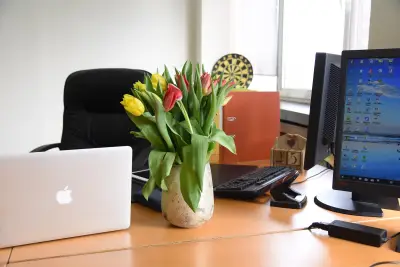 PM Solutions Accounting Services