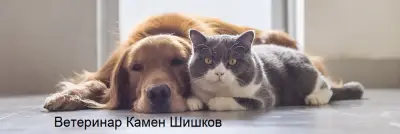 Ветеринарен лекар д-р Камен Шишков