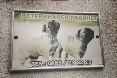 Ветеринарна клиника / Д—р Каблешкова