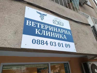 Д-р Коко ЕООД