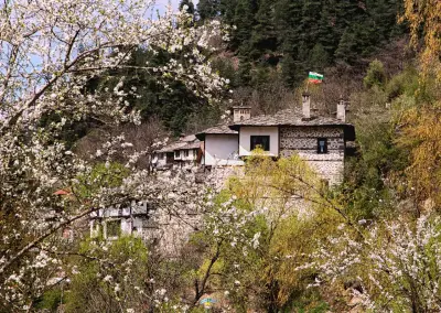 Your Plovdiv Trips