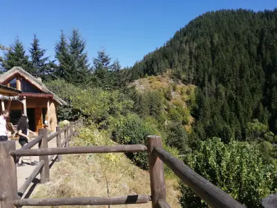 Алпийски тролей -Zipline400