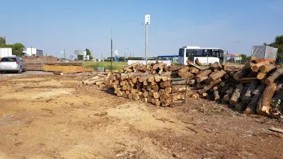 Дърва за огрев