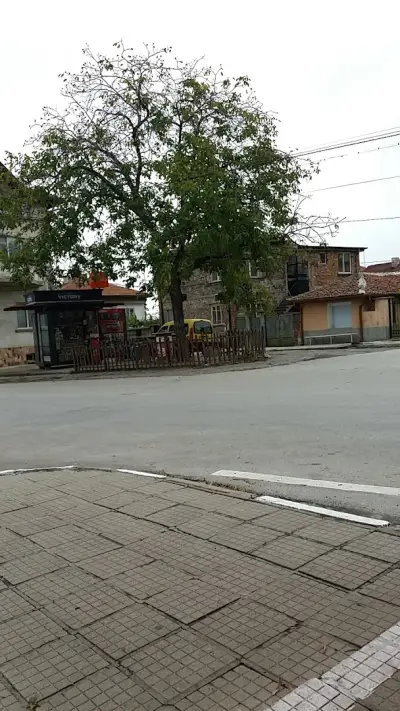Стоково тържище Родопи 95