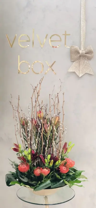 Velvet Box Bijouterie