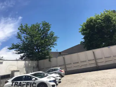 TrafficNews