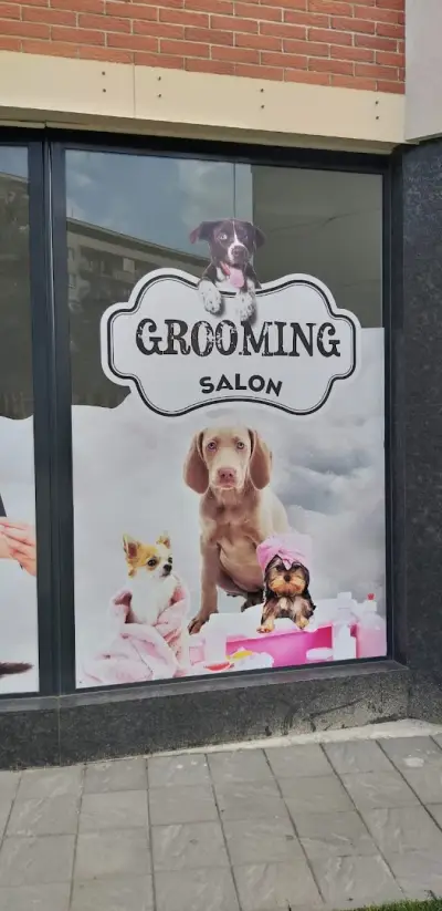 Pets Corner