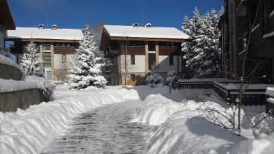 Чамкория Шалети