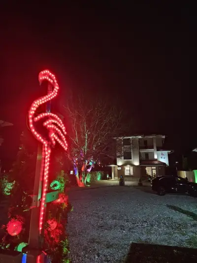 Flamingo Hotel