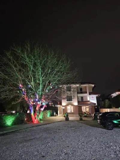 Flamingo Hotel