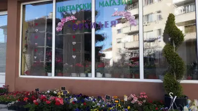 Цветарски магазин "Орхидея"