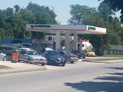 Insa Oil