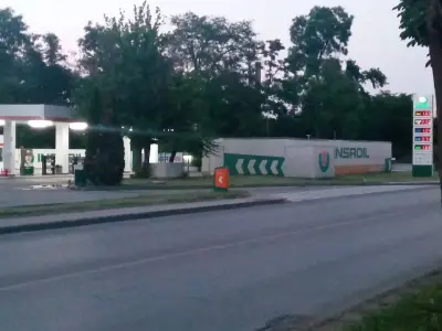 Insa Oil