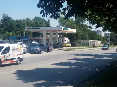 Insa Oil