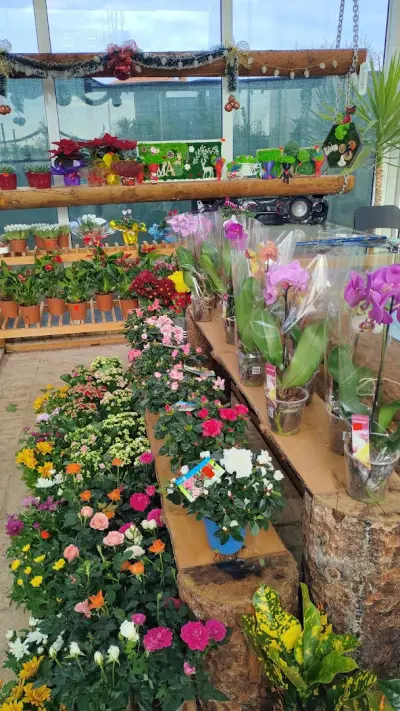 HOME AND GARDEN