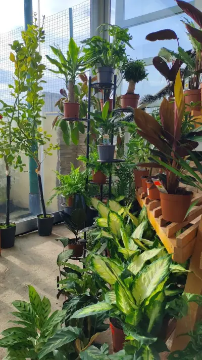 HOME AND GARDEN