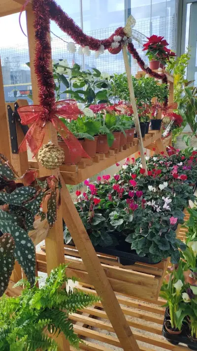 HOME AND GARDEN