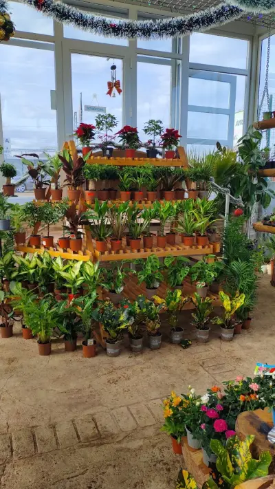 HOME AND GARDEN