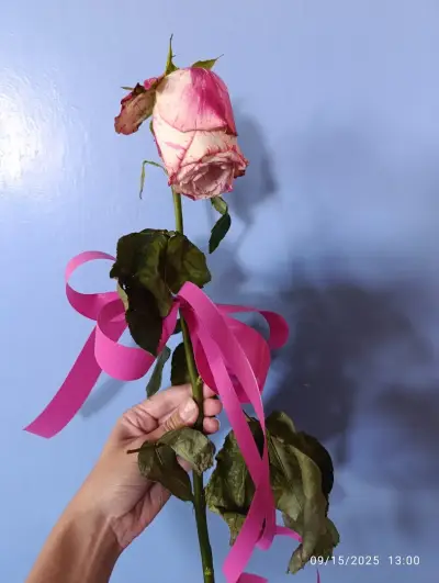 Цветя "Хрис"