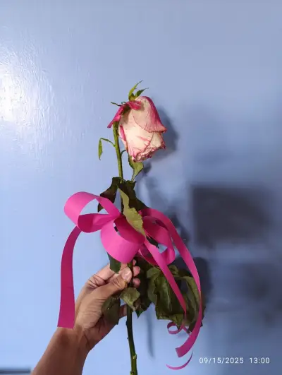 Цветя "Хрис"