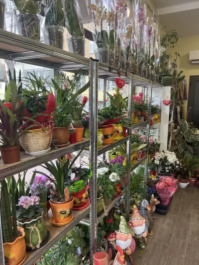 Цветя "Цветно Щастие" | Букети, Опаковане, Свежи Цветя