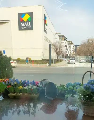 Вендела Ателие / Vendela Atelier