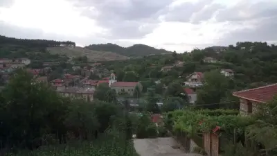Д-р Георги Илиев