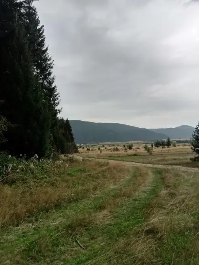 Къмпинг „Горски кът“