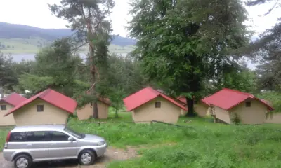 На зелено +