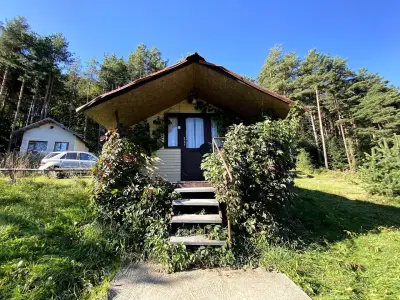 На зелено +