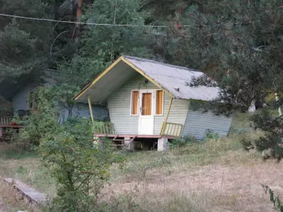 На зелено +
