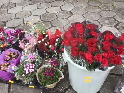 Книжарница Ставропол