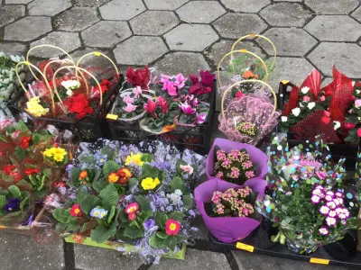 Книжарница Ставропол