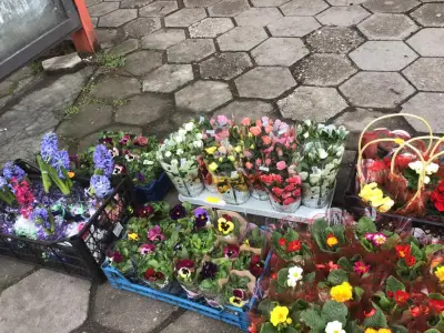 Книжарница Ставропол