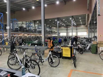 E-bike Factory Leader-96